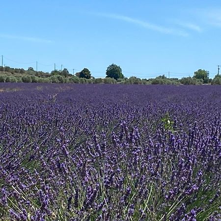 Gite Cocotte Luberon, Forcalquier Pierrerue  Екстериор снимка