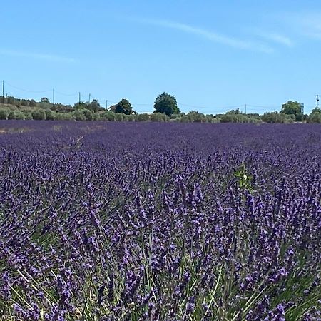 Gite Cocotte Luberon, Forcalquier Villa Pierrerue  Екстериор снимка