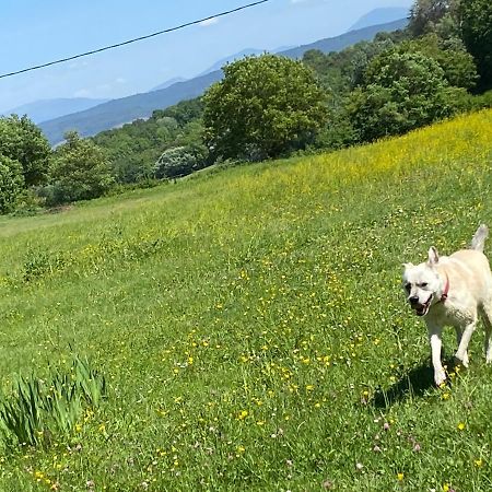 Gite Cocotte Luberon, Forcalquier Villa Pierrerue  Екстериор снимка