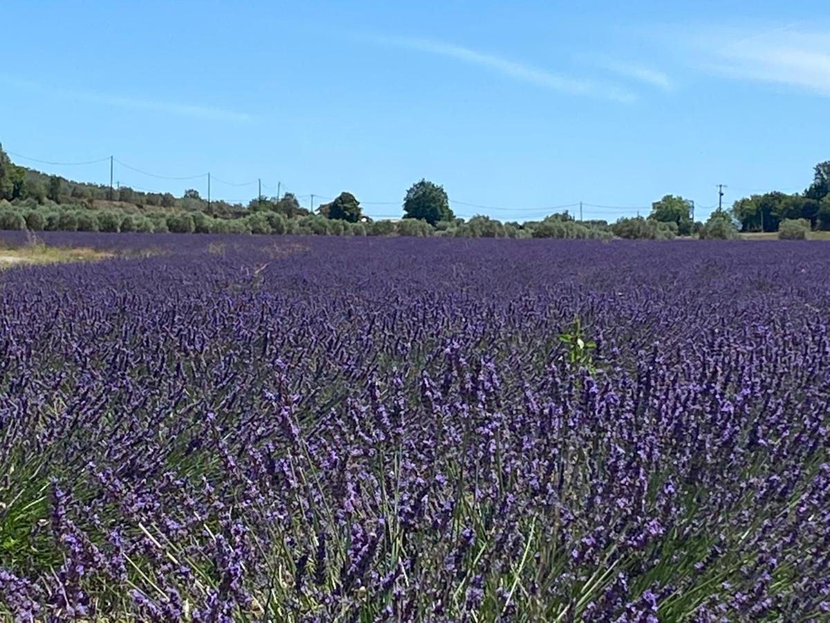 Gite Cocotte Luberon, Forcalquier Villa Pierrerue  Екстериор снимка