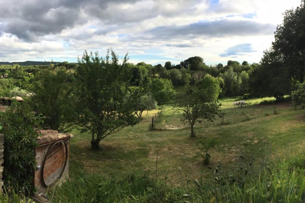 Gite Cocotte Luberon, Forcalquier Villa Pierrerue  Екстериор снимка