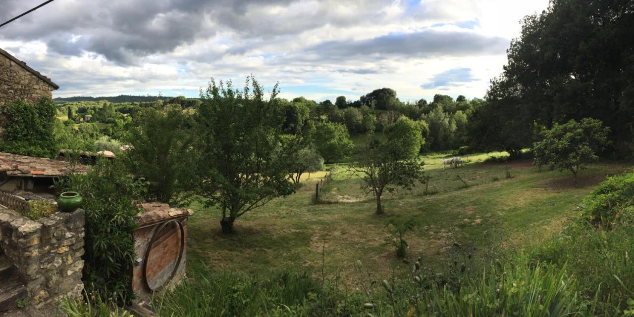 Gite Cocotte Luberon, Forcalquier Villa Pierrerue  Екстериор снимка